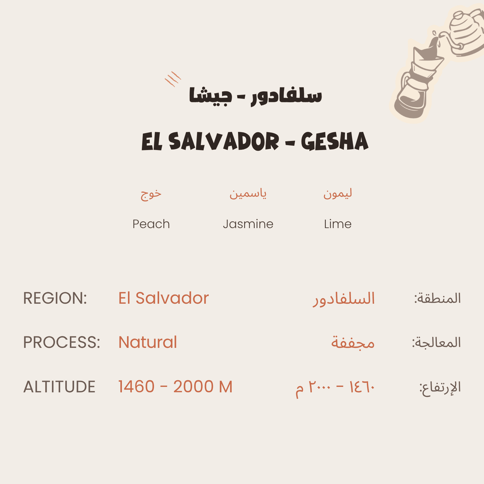 Salvador - Gesha